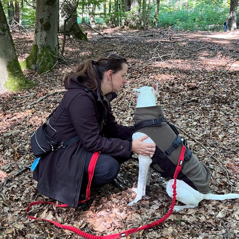 Eine Frau kniet im Wald und streichelt einen Hund. Blätter bedecken den Boden.